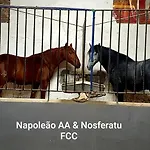 Horse Riding Δωμάτια σε οικογενειακή κατοικία