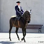 Horse Riding Vila Franca de Xira