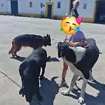 Horse Riding