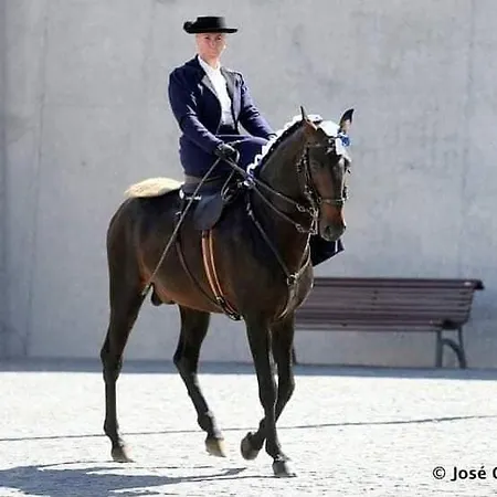 Horse Riding ヴィラ・フランカ・デ・シーラ