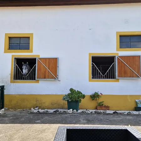 Horse Riding Privat bolig