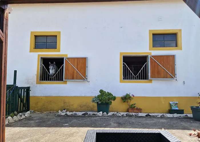 Horse Riding Habitación en casa particular
